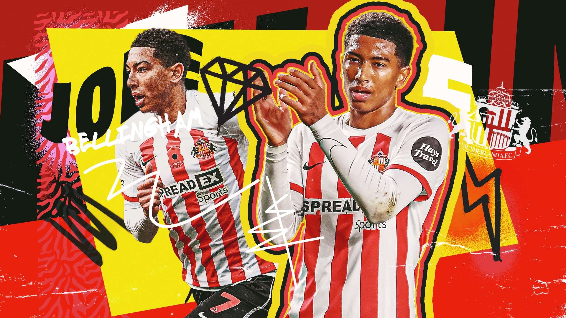 她所代表的 她所代表的